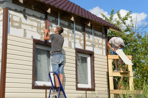 Best Stucco Siding  in Jesup, IA