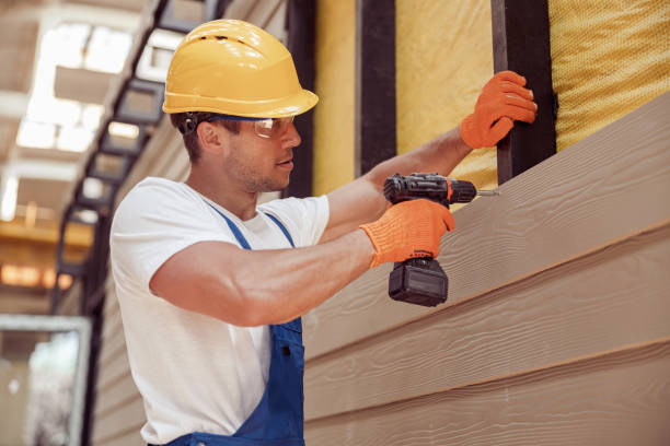 Best Brick Veneer Siding  in Jesup, IA