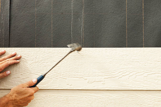 Best Storm Damage Siding Repair  in Jesup, IA