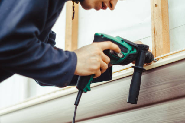 Best Insulated Siding Installation  in Jesup, IA
